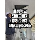 퓨리멕스