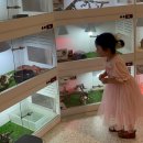 꼬마 | 하남실내동물원 감일동 곰꼬마 방문 후기