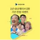 오웨이브 이미지
