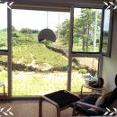 애월의남자 민박 이미지