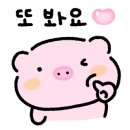 와우워시 월성점 이미지