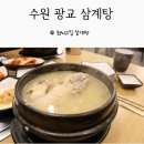 최씨고집 삼계탕 광교직영점 | 수원 광교 삼계탕 든든한 한 끼 @ 최씨고집