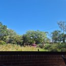 삼방공원 | 구리 카페 대형 브런치 카페 레이지데이즈 - 내돈내산 재방 솔직후기