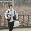 자연보검 이미지