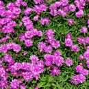 완도읍-5 이미지