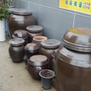 차마고도능이버섯