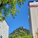 오스테리아고스마 | 뇨끼가 먹고 싶다면 '오스테리아 고스마' 내돈내산 추천 솔직 후기 시금치 파스타 고구마 크림 뇨끼