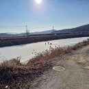 GS25 강화나들길점 이미지