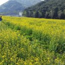 구평카센타 이미지