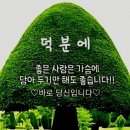 부부도 생각과 길이 다름을~ 이미지