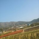 금목수 이미지