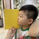 대구 키즈프로필 컬러배경 어린이사진관 치카치코스튜디오