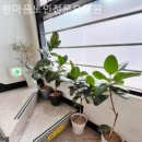 초록요양원 이미지