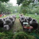 농부네 텃밭 민박 이미지