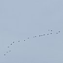 심곡항구 이미지