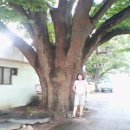 지혜민박 이미지