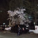 사거리철물 이미지