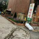 채선당과천점 티스토리