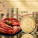 김치STORE 이미지