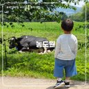 마일목장 이미지