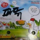 떴다파닭 - 진주시 대신로 364 | 떴다파닭