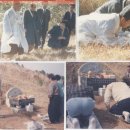 상석제 이미지