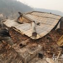 상의리 경로당 이미지