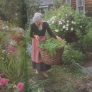 타샤의정원 이미지