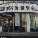 유현동물병원 이미지