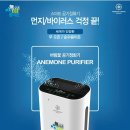 애니원플러스 이미지