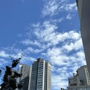 #방배 미쉐린가이드 우동,소바 맛집 [스바루] 자루소바, 자루우동 솔직 후기
