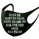 조은일