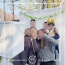 포토박스반짝 이미지