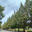 일산호수공원 이미지