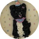 포퍼피(FOR PUPPY) 이미지