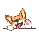 반려견 수제 간식 만들기 이미지