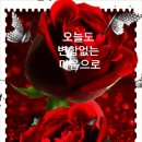 #[아침을여는지혜]-2025년 2월 11일-주요뉴스 이미지