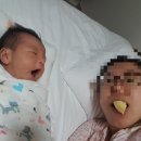 창미농장 | 농장직송 택배사과 : 소랑골에 피는 꿈, 사랑의 사과 !