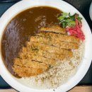 오늘은 카레 미사점 | 하이도조 미사점 - 가츠동과 카레 내돈내산 후기