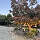 제주운정이네중문본점 | 제주 갈치조림 맛집으로 유명한 운정이네 중문본점 방문