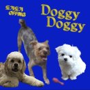 도기도기 이미지