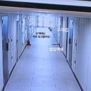 (주)드림에이치엔제이 | 북촌 오늘의집, 오설록 말차라떼, 서촌테일러커피, 제이닷트리 스누피팝업, 다시는 가고싶지않은 종각...