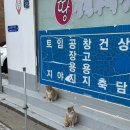 서독안경 | 대충 2월 일상이라 하자🖌️