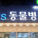 만년YES동물병원 네이버블로그