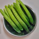 민숙농장 | 오이소박이가 맛있어지는 계절 오이소박이 오이 칼집 고르게 내는 방법