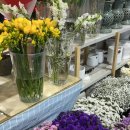 [꽃집] 운정 블라썸 꽃집 - 내돈내산 운정 가람마을 꽃집 다발 구매 후기💐| 파주 운정 가람마을 꽃집 추천
