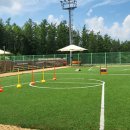 하이원펫클럽 이미지