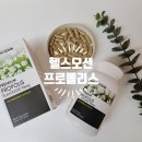 청정 뉴질랜드 건강식품 최고급 최고함량 헬스오션 프로폴리스 추천