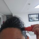 저스트틴트 | 두피커버 앰플틴트, 큐블랙 찐 사용후기