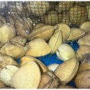 조개정육점 신중동점 이미지